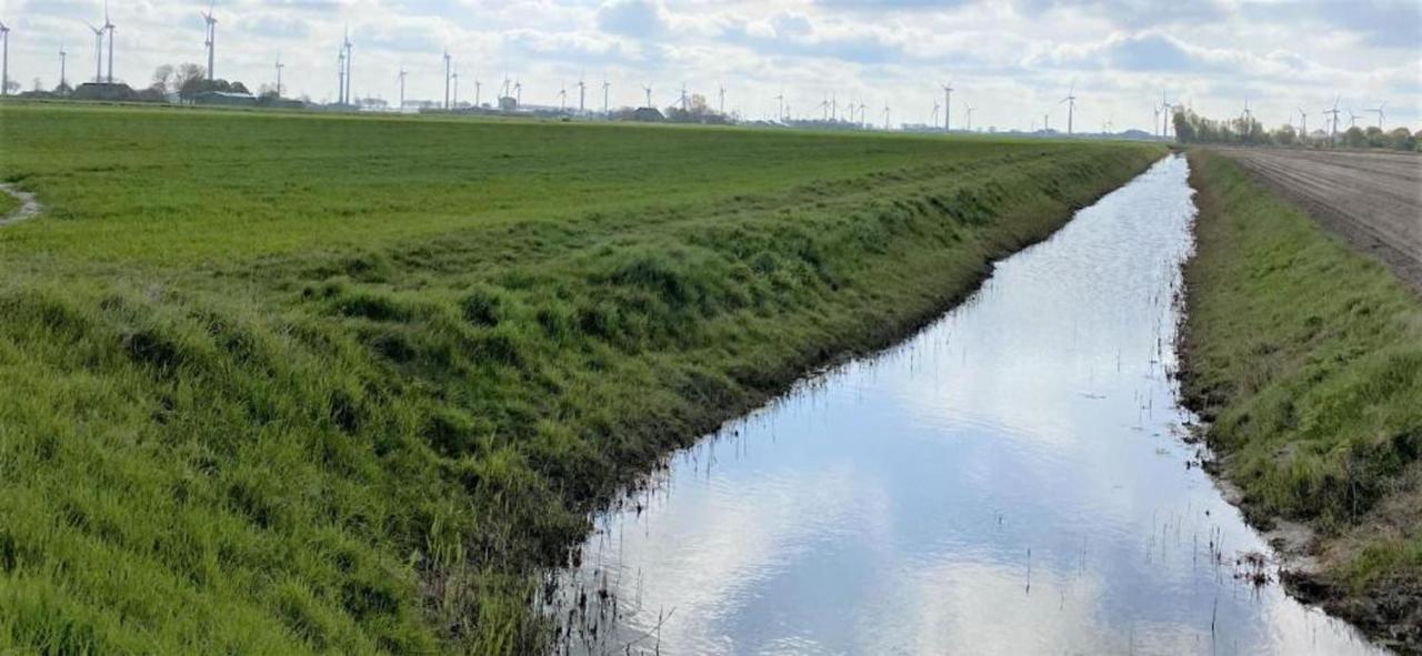 Kleines Doppelzimmer mit eigenem Bad und Kühlschrank, frisch saniert Friedrichskoog Exterior foto